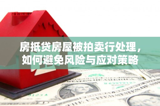 天河房抵贷房屋被拍卖行处理，如何避免风险与应对策略